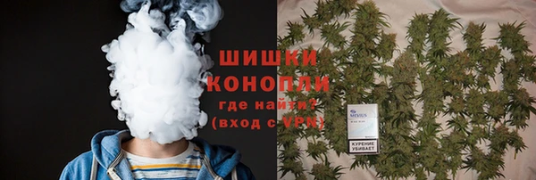 шишки Белоозёрский