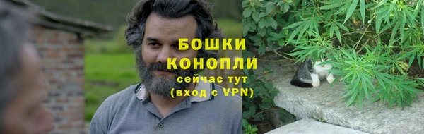 шишки Белоозёрский