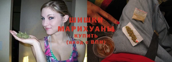 шишки Белоозёрский