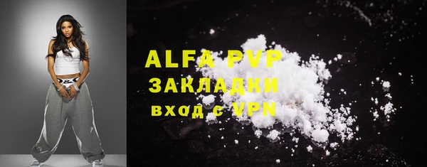 шишки Белоозёрский