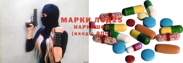 шишки Белоозёрский