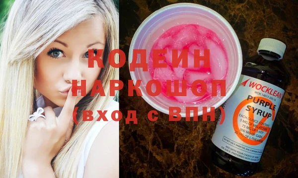 шишки Белоозёрский