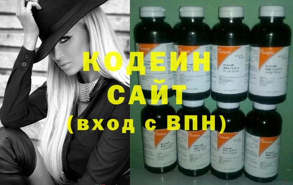 шишки Белоозёрский