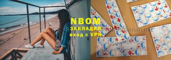 шишки Белоозёрский