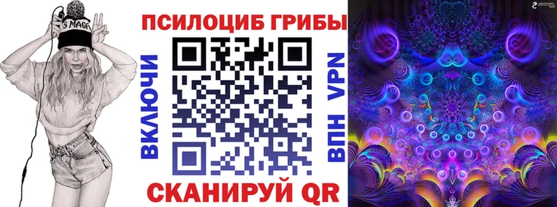 Псилоцибиновые грибы Cubensis  даркнет сайт  Шарыпово 